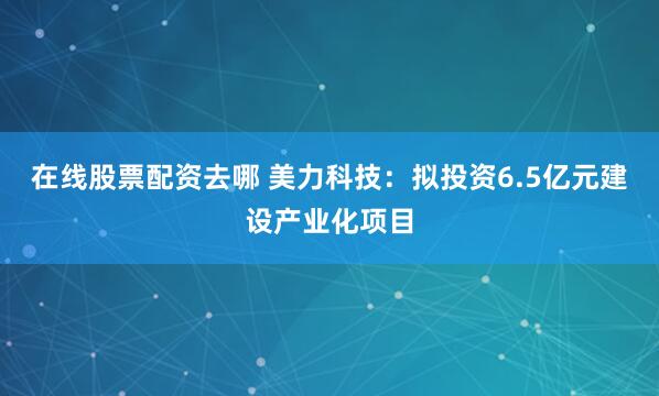 在线股票配资去哪 美力科技：拟投资6.5亿元建设产业化项目