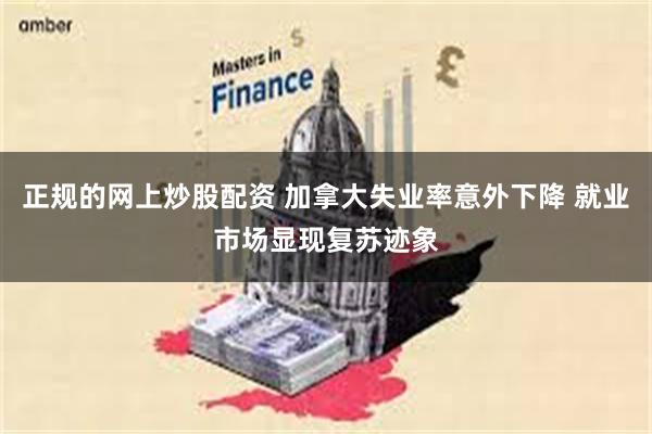 正规的网上炒股配资 加拿大失业率意外下降 就业市场显现复苏迹象