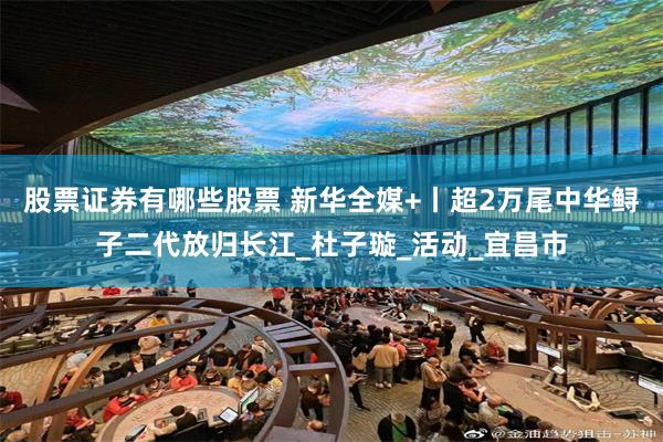 股票证券有哪些股票 新华全媒+丨超2万尾中华鲟子二代放归长江_杜子璇_活动_宜昌市
