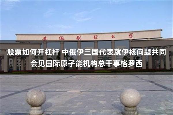 股票如何开杠杆 中俄伊三国代表就伊核问题共同会见国际原子能机构总干事格罗西