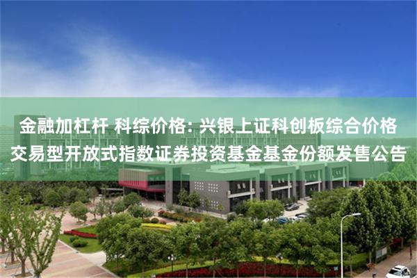 金融加杠杆 科综价格: 兴银上证科创板综合价格交易型开放式指数证券投资基金基金份额发售公告