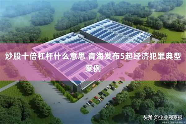 炒股十倍杠杆什么意思 青海发布5起经济犯罪典型案例