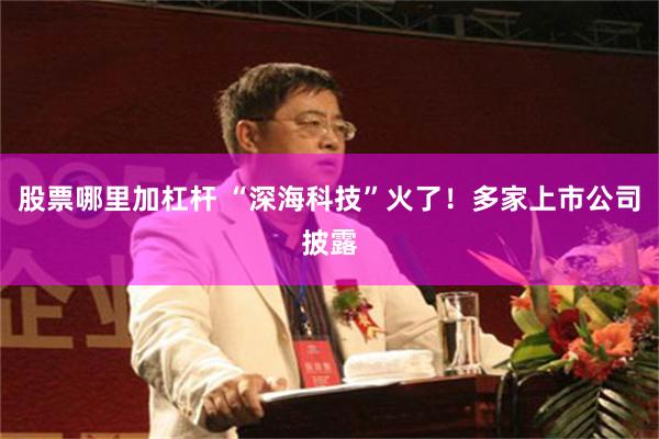 股票哪里加杠杆 “深海科技”火了！多家上市公司披露