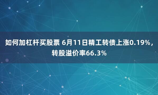 如何加杠杆买股票 6月11日精工转债上涨0.19%，转股溢价率66.3%